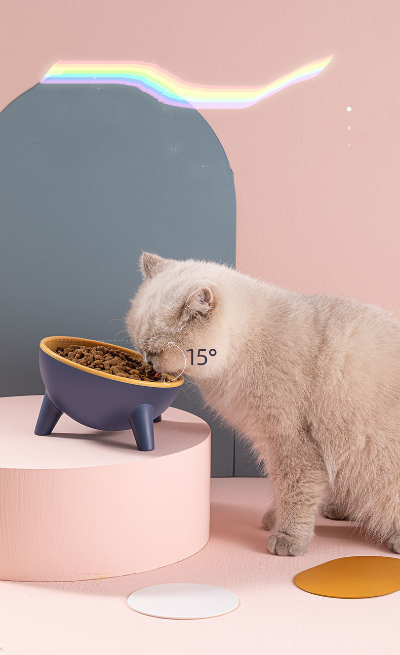 Tilted Anti-Vomiting Pet Bowl
