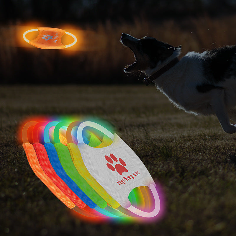 LED Light-Up Dog Frisbee