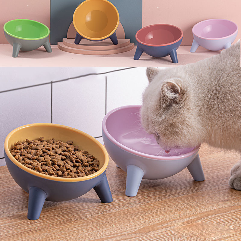 Tilted Anti-Vomiting Pet Bowl