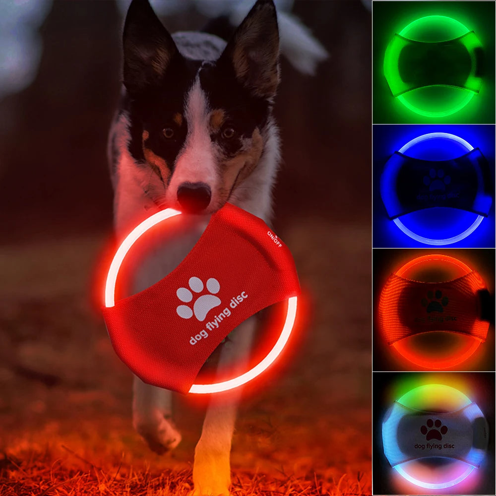 LED Light-Up Dog Frisbee