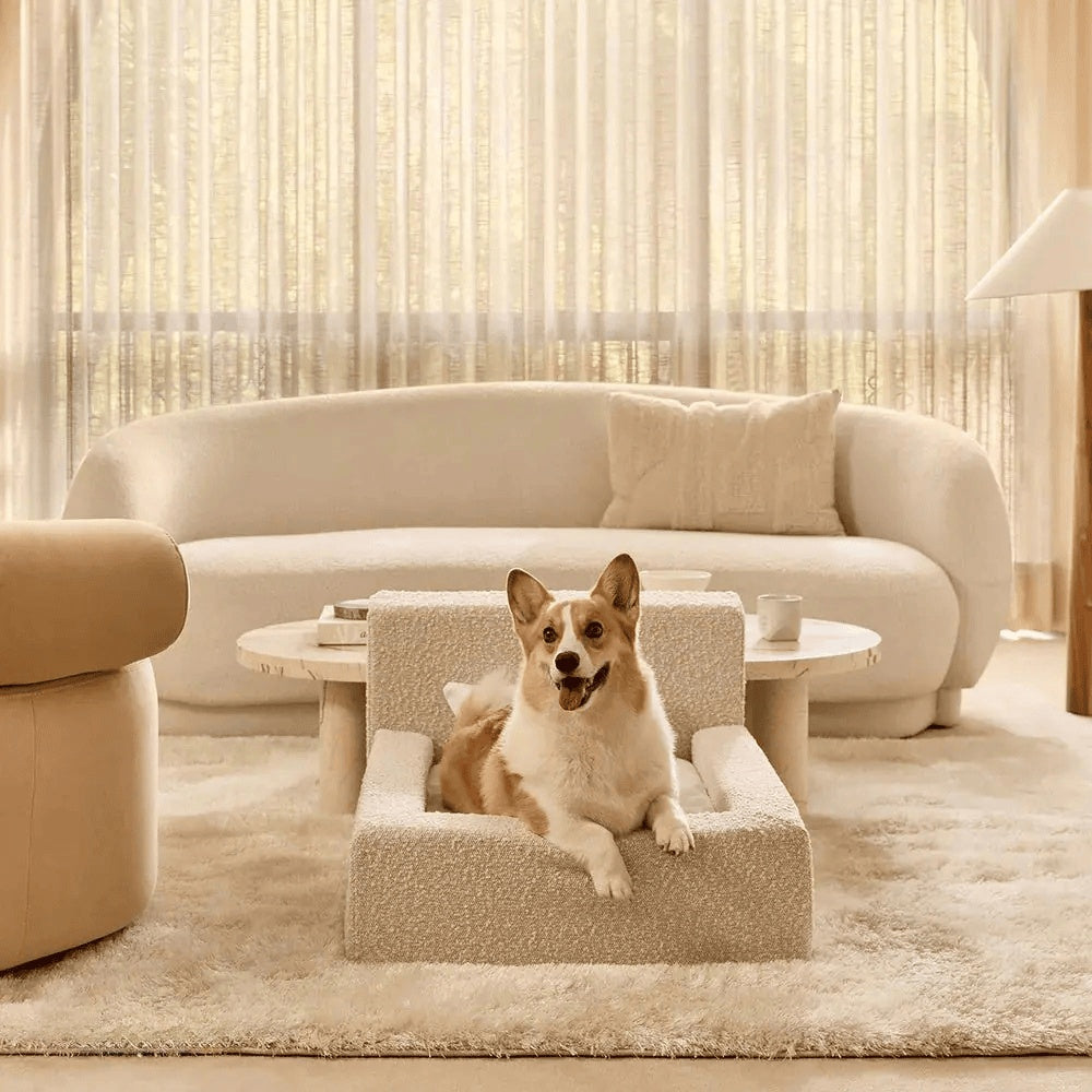 Orthopedic Cloud Pet Sofa